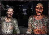 http://www.stalker-epos.com/mutants/zombie.jpg